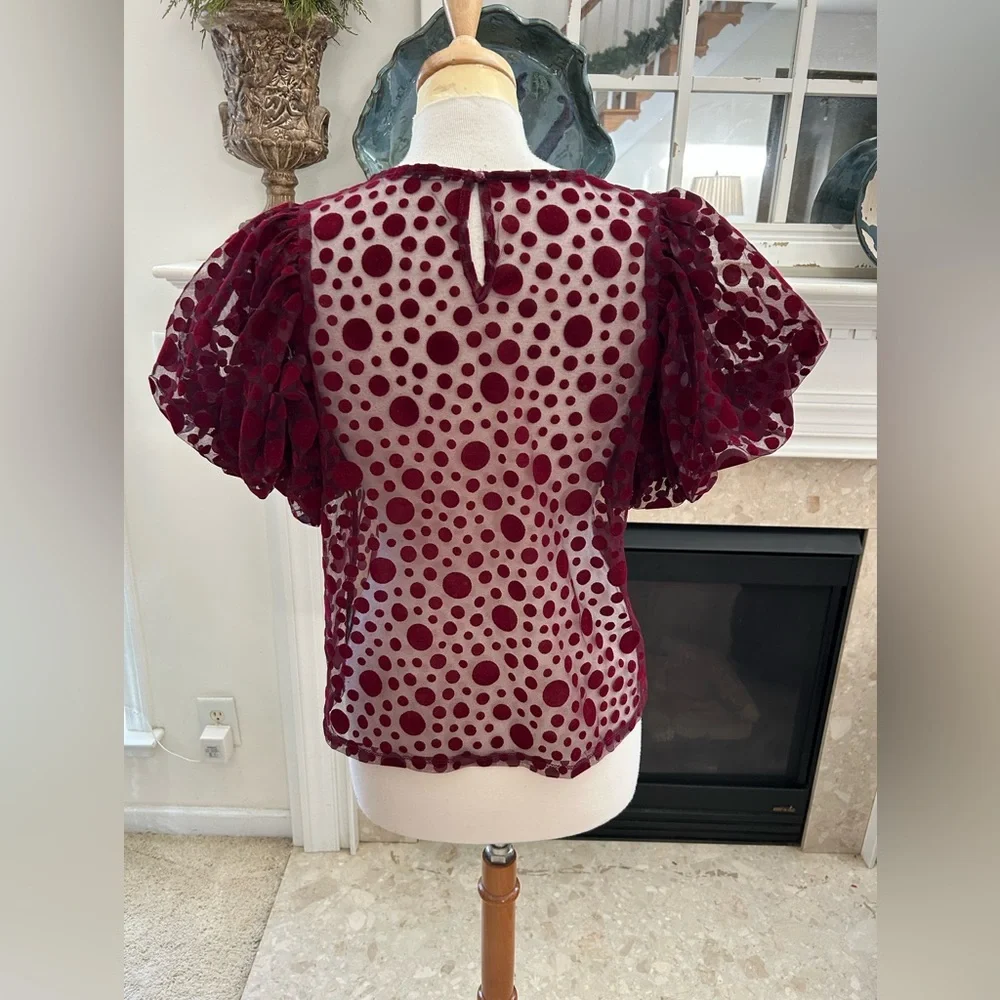 Haute Monde Burgundy Puff Sleeve Sheer Top - Picture 6 of 8